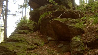 Kapellenwanderung ins Gföhleramt