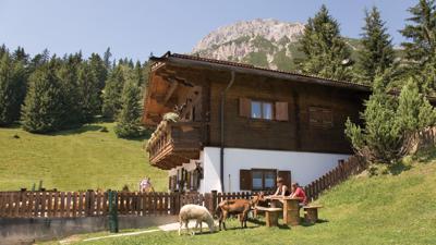 Karrer Alm / Tschirgant