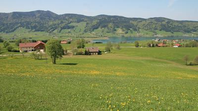 Guggenberg – Weißenstein – Prielbauer
