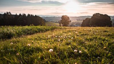 Göblbergrunde – Brodinger Runde