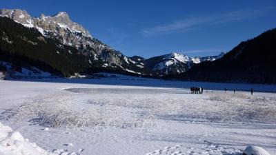 Haldensee – Haller