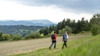 Ysper-Weitental Rundwanderweg Etappe 2