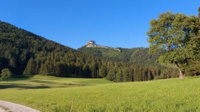Z’Raming – Schönlehner – Lindauer – Neustift