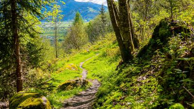 Zaglbrunnrunde