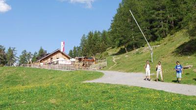 Zams – Zammer Alm über Forstweg / 2