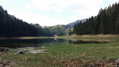 Zum Halleswiessee