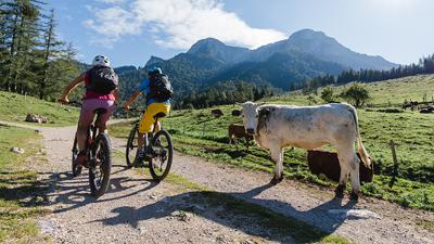 Zur Eisenauer Alm