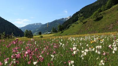 Großarl: Achenpromenade