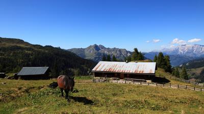 Großarl: Breitenebenalm – Großwildalm – Saukaralm