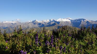 Großarl: Frauenkogel