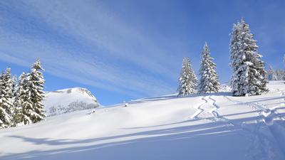 Großarl: Kitzstein (Gabel), 2.037 m