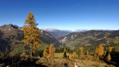 Großarl: Saukaralm – Saukarkopf – Gerstreitalm