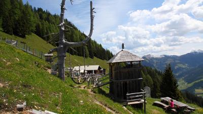 Großarl: Mooslehenalm – Igltalalm – Viehhausalm