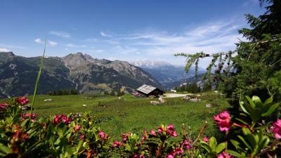 Großarl: Saukaralm