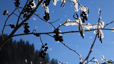 Großarl: Wanderweg nach Schied/Au