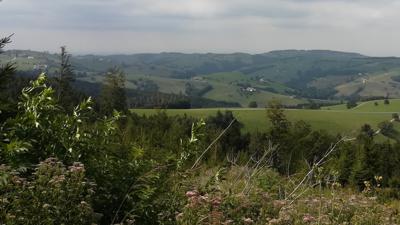 Große Waldrunde Sulzbach