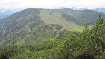 Kirchberg – Schafelberg