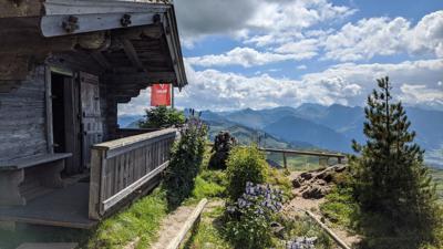 Kitzbüheler Horn Alpenblumengarten