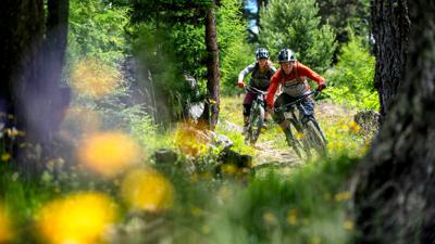 Kleble Alm Trail (699)