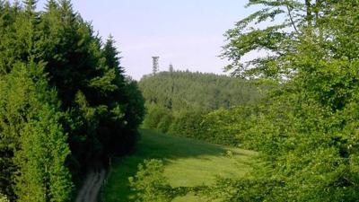 Kleine Dambergrunde