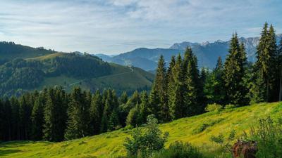 Rettenschöss Feistenau – in Richtung Wandberg