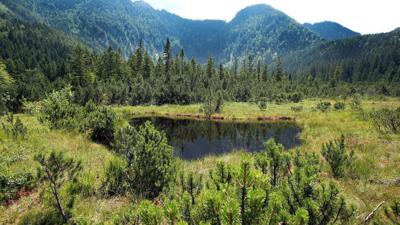 Almenwanderung vom Leckermoos auf den Ringkogel und Schwarzalm