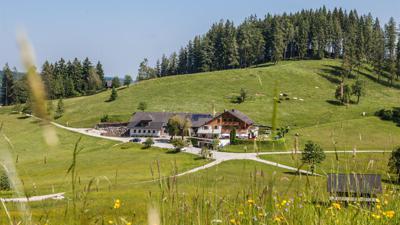 Almgasthof Windlegern zur Hochsteinalm