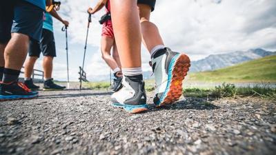 Almwanderung im Schwarzenbachtal