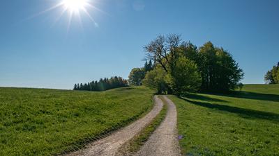 Almwiesenweg