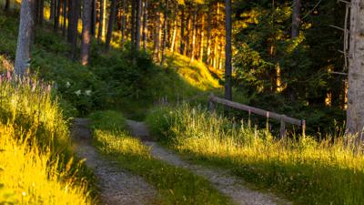 Alpannonia Genuss-Strecke Hochwechsel – Mönichkirchen