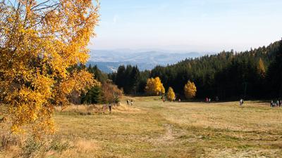 Alpannonia Genuss-Strecke Mönichkirchen – Hochneukirchen