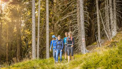 Alpannonia Genuss-Wanderstrecke Fischbach – Alpl – Roseggerhof