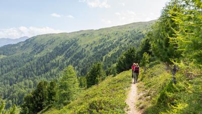 Alpenrosensteig vom Fisser Joch (nach Fiss)