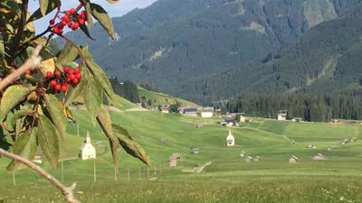 Rohnwaldrunde