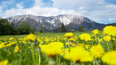 Rohrbach im Graben – Puchberg am Schneeberg