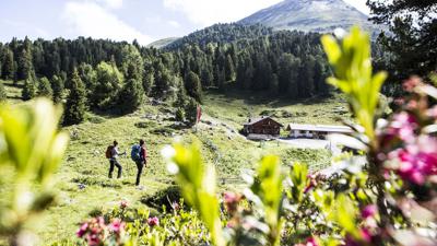 Rolli-Wanderung Aifner Alm