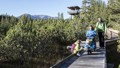 Rolli-Wanderung Piller Moor