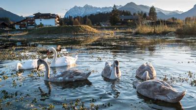Kössen – Bichlach – Walchsee