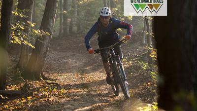 Laaber-Trail