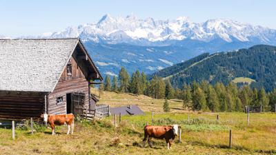 Lackenkogel mit Ausgangspunkt Winterbauer