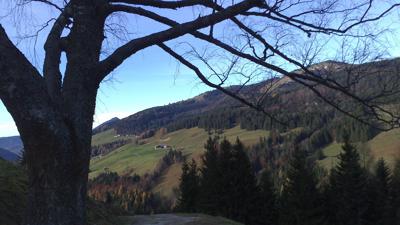 Ladenberg (Nr.: 77) Krispl-Gaissau
