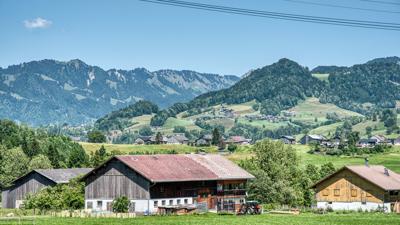Andelsbuch Rund um die Winterstaude