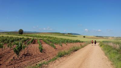 Von Pamplona nach Irurzun