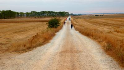 Von El Burgo Raneros nach Mansilla de las Mulas