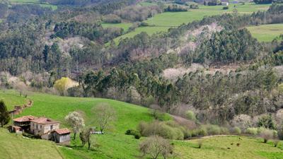 Von O Castro (Dozón) nach Silleda