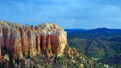 Swamp Canyon Sheep Trail