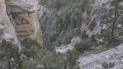 Coconino Saddle (empfohlene Sommertour)