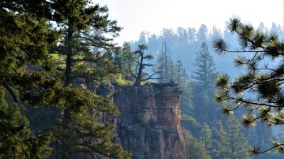 Ken Patrick Trail