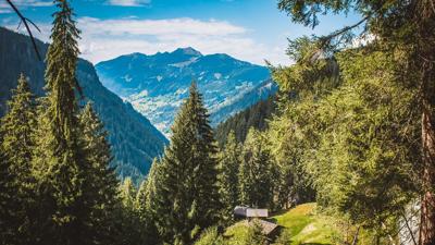 Von Buchboden zur Ischkarnei Alpe