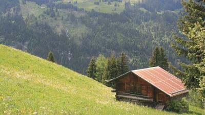 Tour von Fideris in die Heuberge